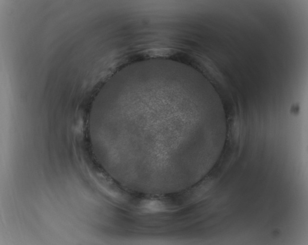 X0000113290655200909211105