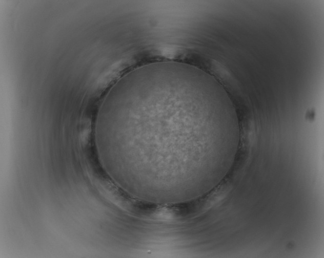 X0000113290656200909211105