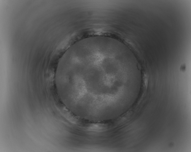 X0000113290657200909211105