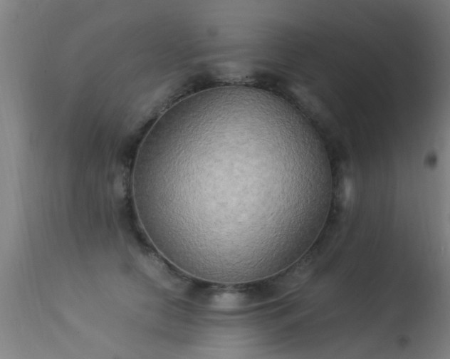 X0000113290658200909211105