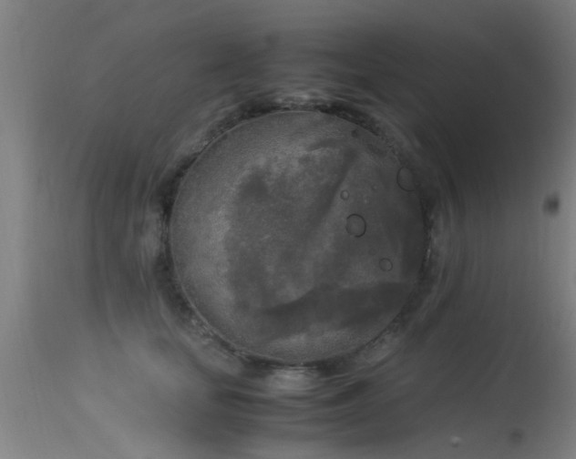 X0000113290659200909211105