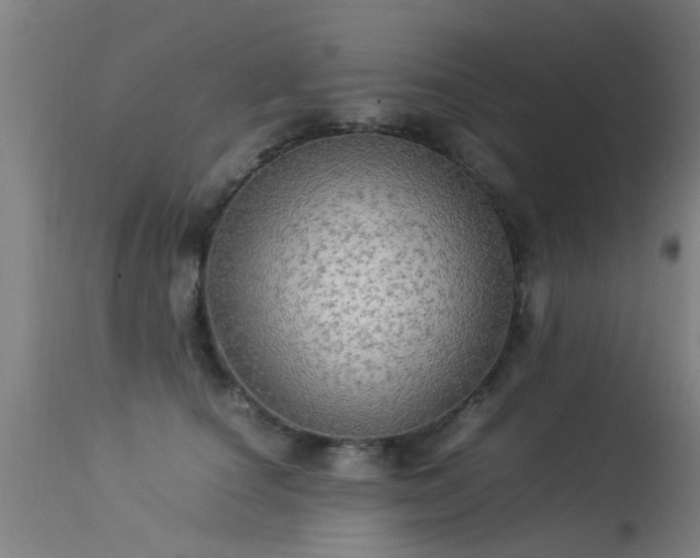 X0000113290660200909211105