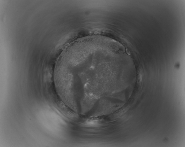 X0000113290661200909211105