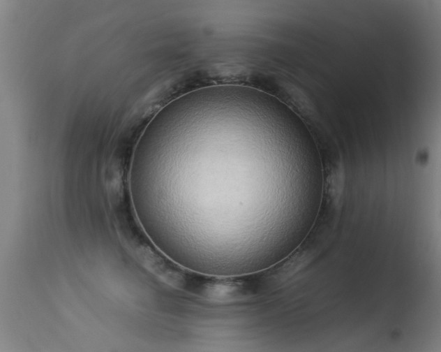 X0000113290662200909211105