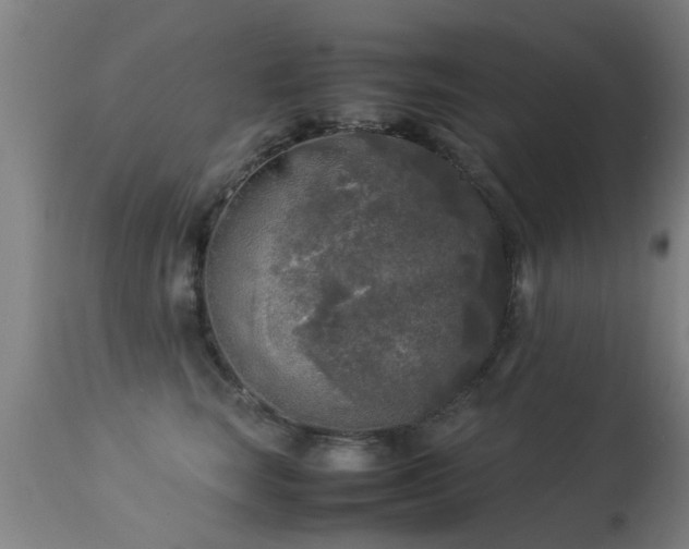 X0000113290663200909211105