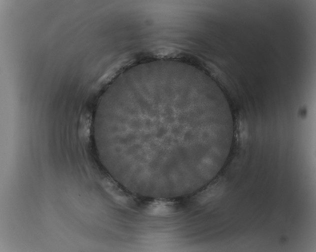 X0000113290664200909211105