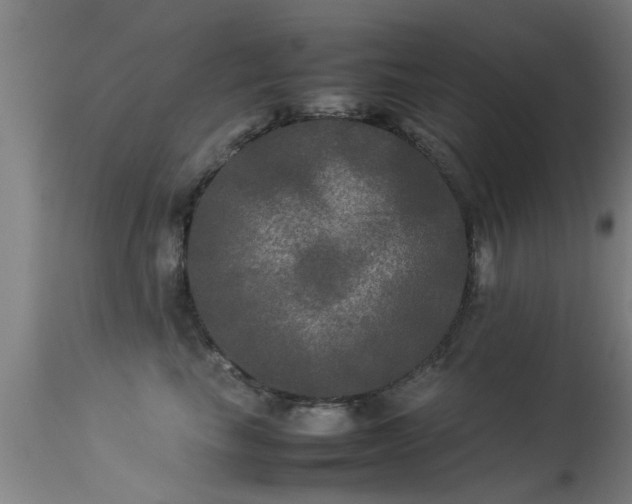 X0000113290665200909211105