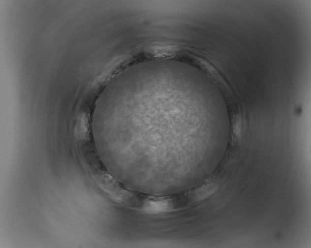 X0000113290667200909211105