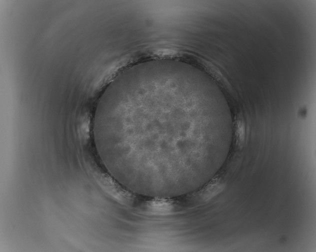 X0000113290668200909211105