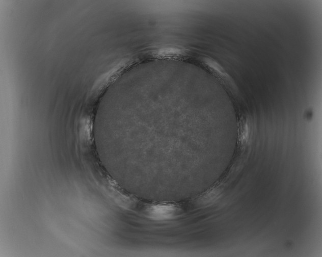 X0000113290669200909211105