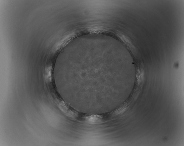 X0000113290670200909211105