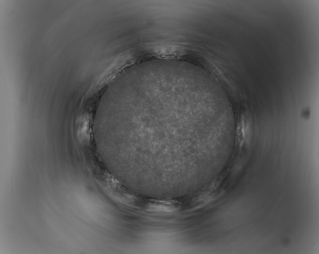 X0000113290671200909211105