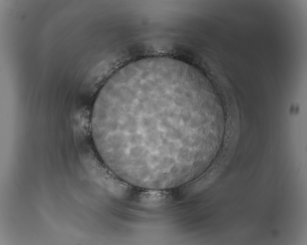 X0000113290672200909211105