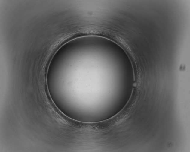 X0000113290673200909211104