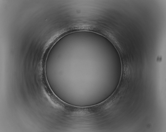 X0000113290674200909211104