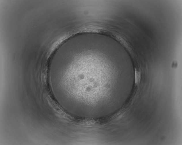 X0000113290675200909211104