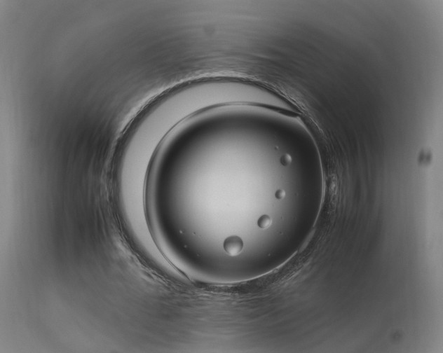 X0000113290676200909211104