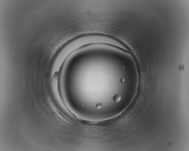 X0000113290677200909211104