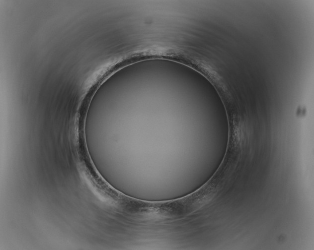 X0000113290678200909211104