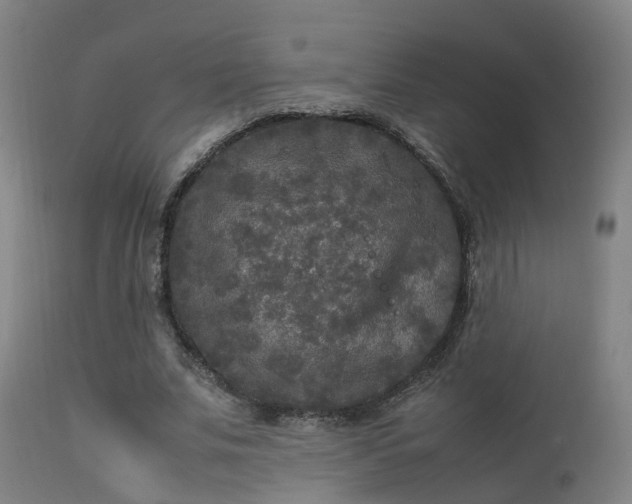 X0000113290679200909211104