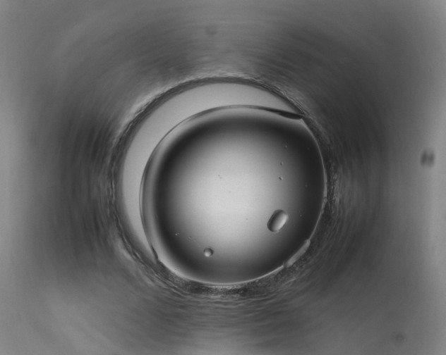 X0000113290680200909211104