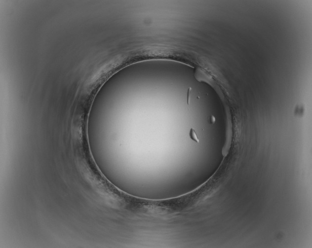 X0000113290681200909211104