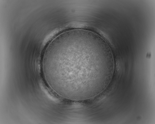 X0000113290682200909211104