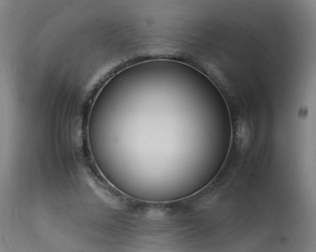 X0000113290684200909211104