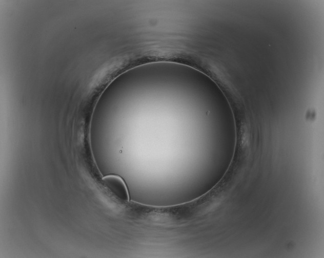 X0000113290685200909211104