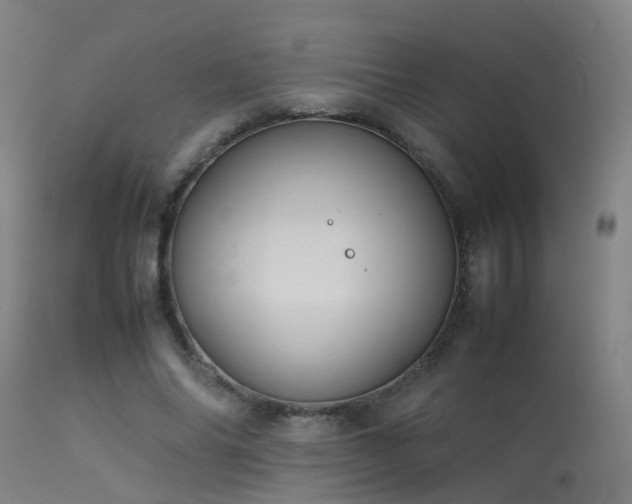 X0000113290686200909211104