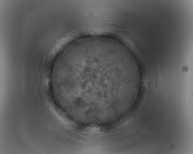 X0000113290687200909211104