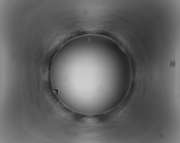 X0000113290689200909211104