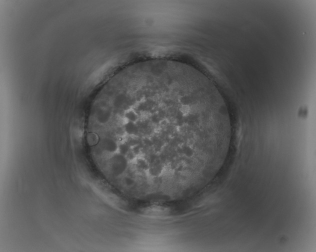 X0000113290691200909211104