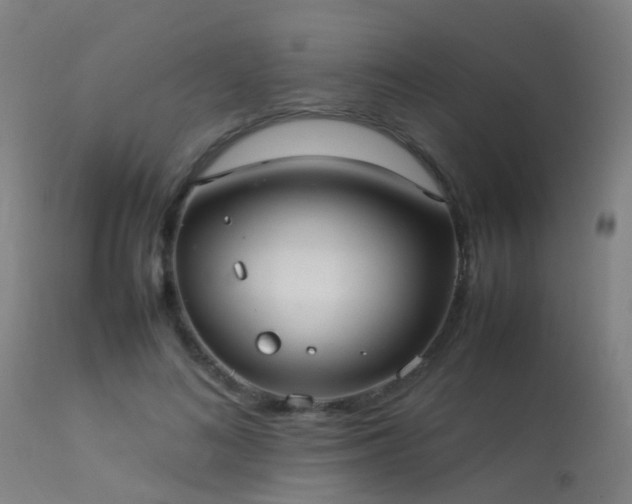 X0000113290692200909211104