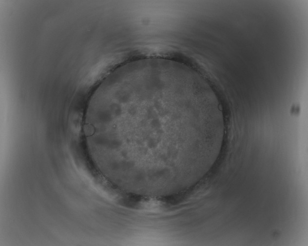 X0000113290695200909211104