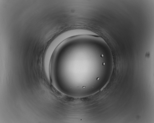 X0000113290696200909211104