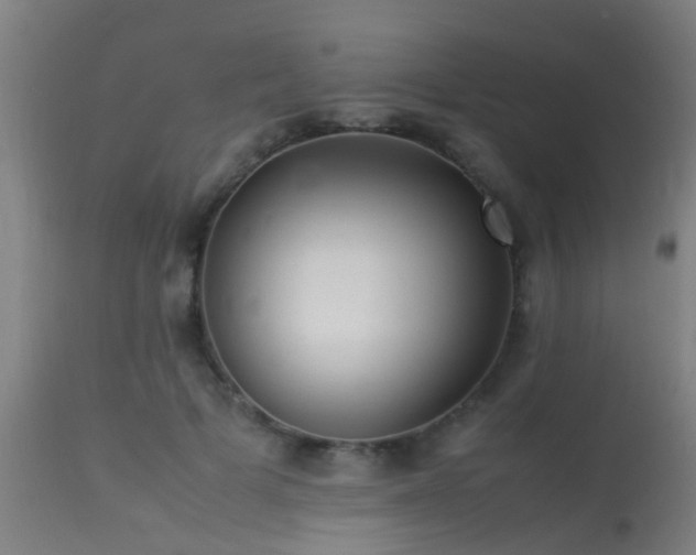 X0000113290697200909211104