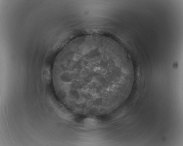 X0000113290699200909211104