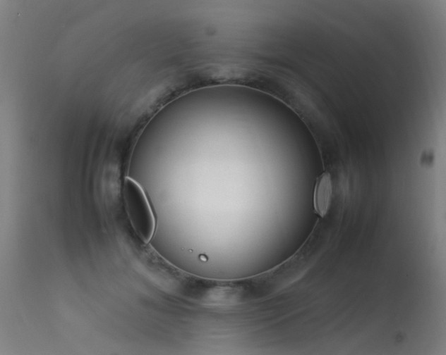 X0000113290700200909211104