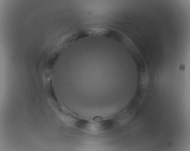 X0000113290701200909211104