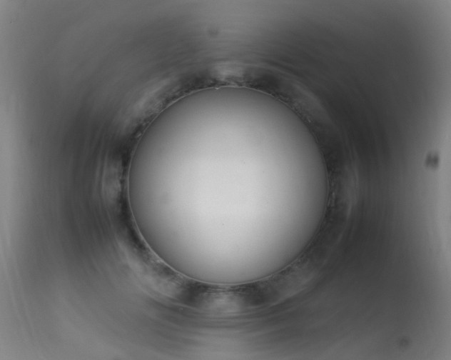 X0000113290702200909211104