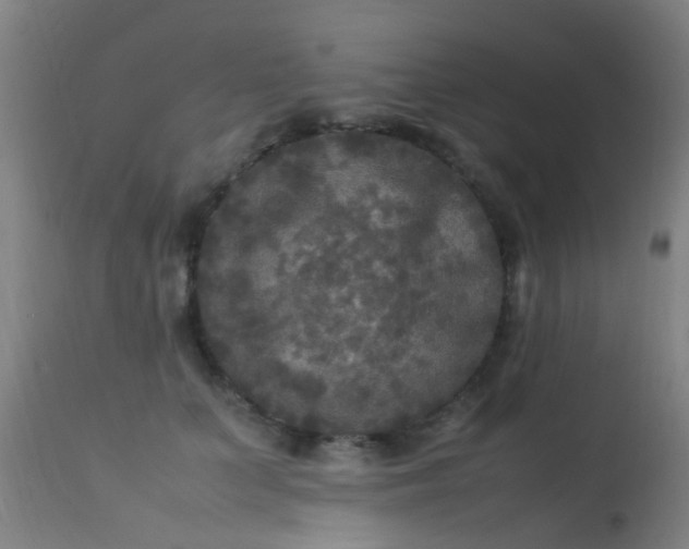 X0000113290703200909211104