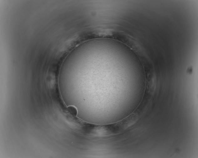 X0000113290704200909211104