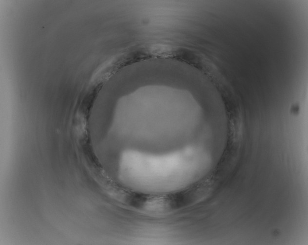 X0000113290705200909211104