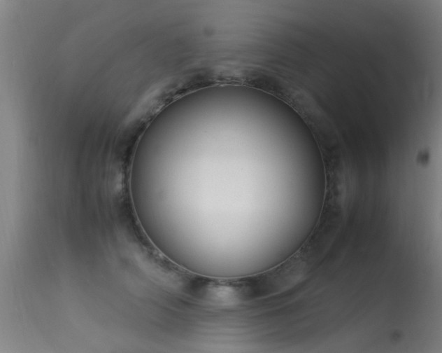 X0000113290706200909211104