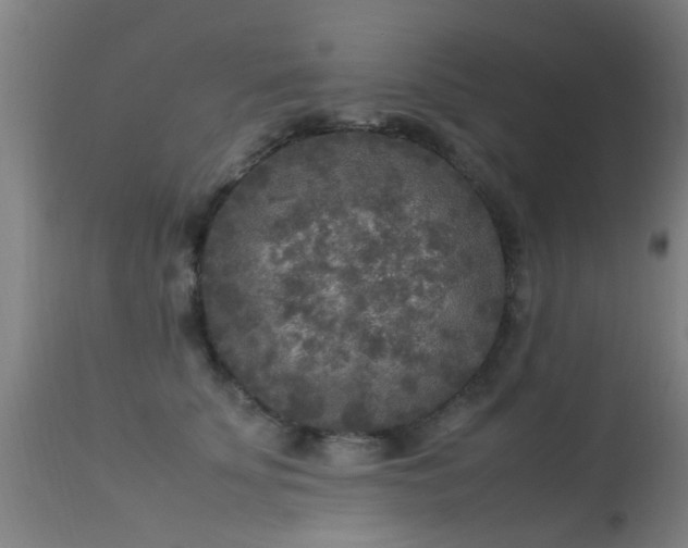 X0000113290707200909211104