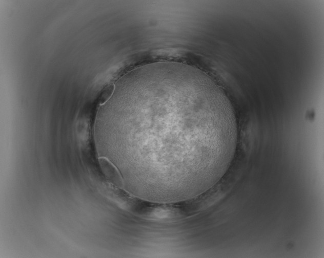 X0000113290708200909211104