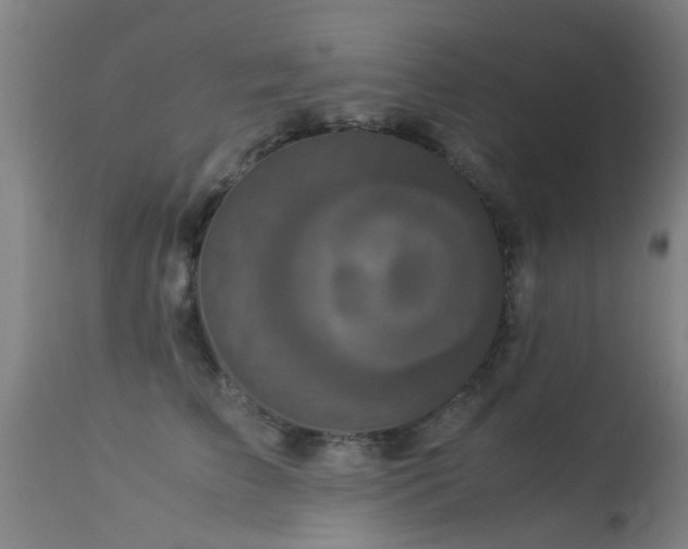 X0000113290709200909211104