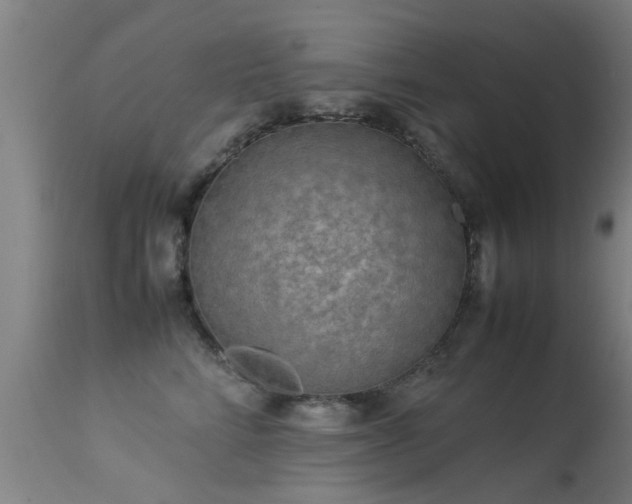 X0000113290712200909211104