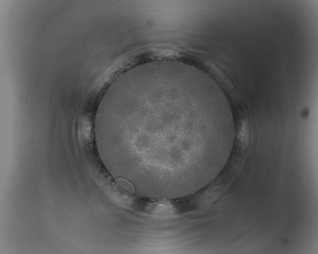 X0000113290715200909211104